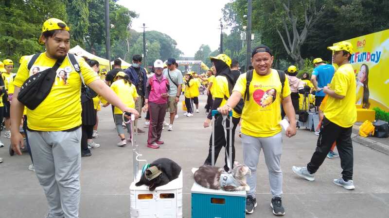 Me-O menggelar acara perayaan Hari Peluk Kucing Sedunia bertajuk Cat Fun Day