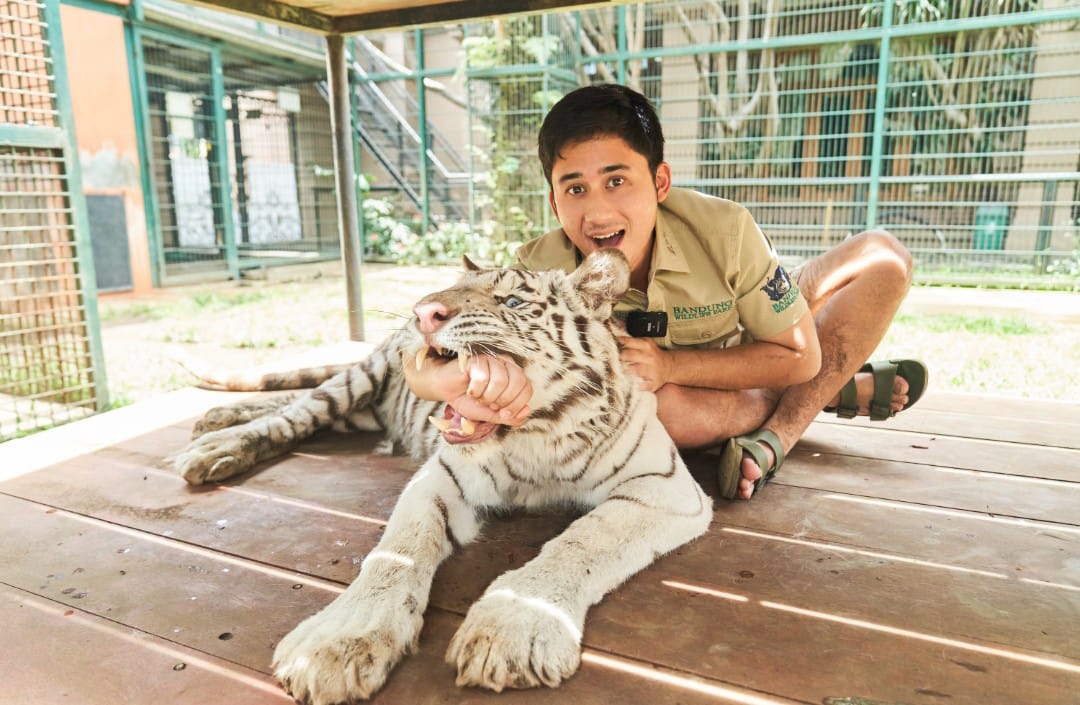 Kreator konten sekaligus pegiat konservasi satwa liar, Alshad Ahmad bersama harimau peliharaannya. (Foto - dok. pribadi)