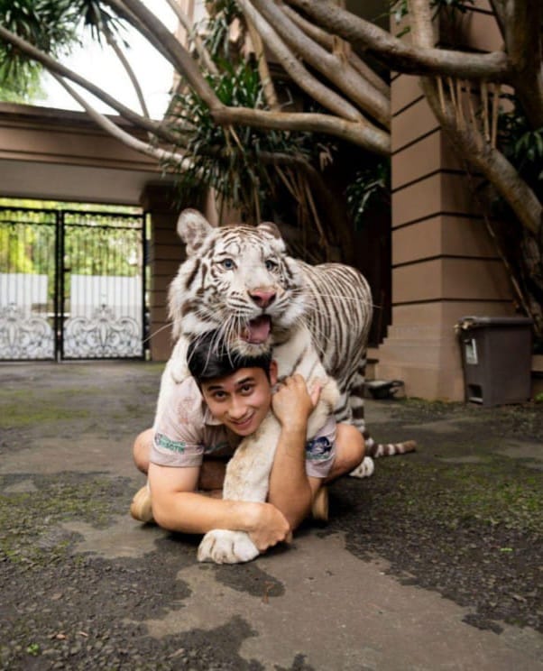 Kreator konten sekaligus pegiat konservasi satwa liar, Alshad Ahmad bersama harimau peliharaannya. (Foto - dok. pribadi)

