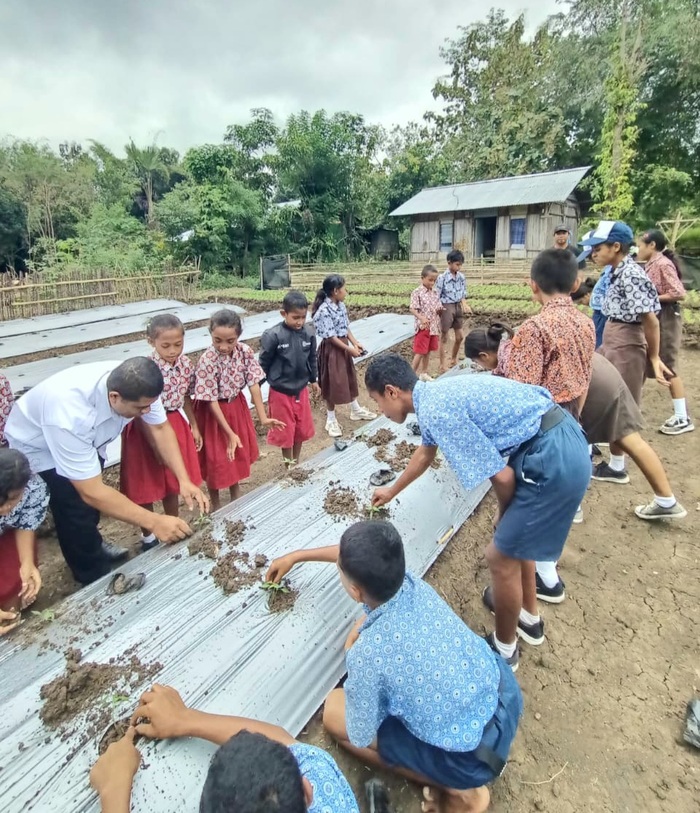 Yayasan Felix Marai Go (YFMG) mengajak pelajar SDN dan SMPN Maumolo, Nusa Tenggara Timur (NTT), belajar langsung di lapangan melalui kegiatan edukasi pertanian dan tanam cabai bersama pada Rabu (10/6/2026). (Foto - YFMG)