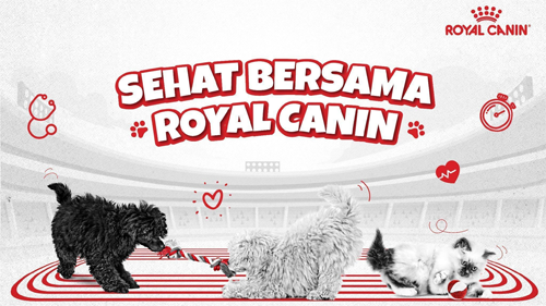 foto dok. royal canin indonesia